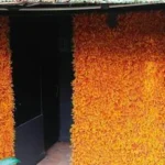 Orange Long Leaf Vertical Garden Mat