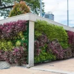 Natural Plant Bio Wall System