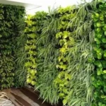 Live Vertical Green Wall