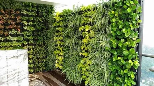 Live Vertical Green Wall