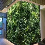 Indoor Natural Wall Garden