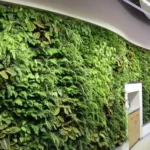 Living Green Wall Services