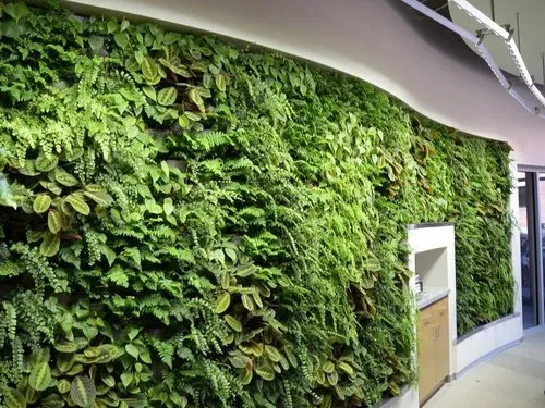 Living Green Wall Services