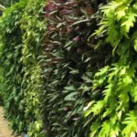 Bio Wall Vertical Garden