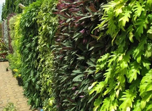 Bio Wall Vertical Garden