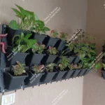 Green Wall Natural Indoor & Outdoor