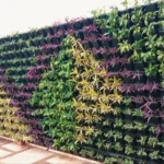 Indoor Green Bio Wall