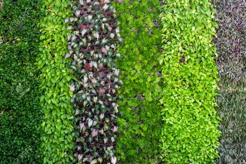 Multicolored Vertical Garden