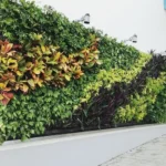 Natural Green Wall Full Outdoor