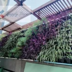 Natural Vertical Garden for Partition Wall