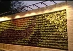 Outdoor Vertical Garden