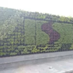 Outdoor Vertical Garden