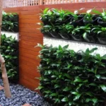 Vertical Garden Wall for Terrace & Landscaping