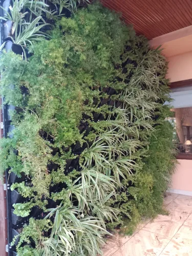 Vertical Gardening Indoor