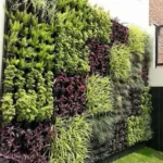 Vertical Gardening Installation Services