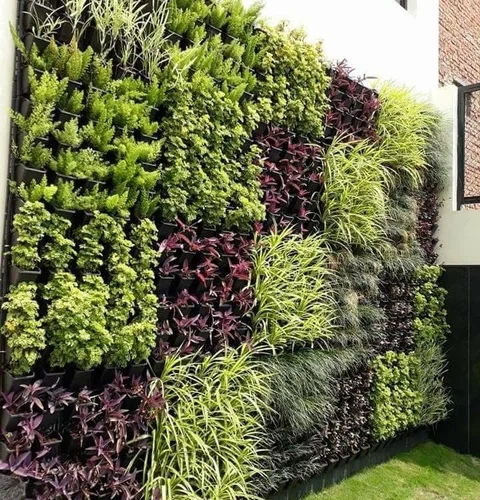 Vertical Gardening Services