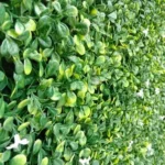 Artificial Green Leaf Small White Flowers Wall