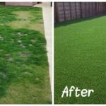 Artificial grass transforms the landscape