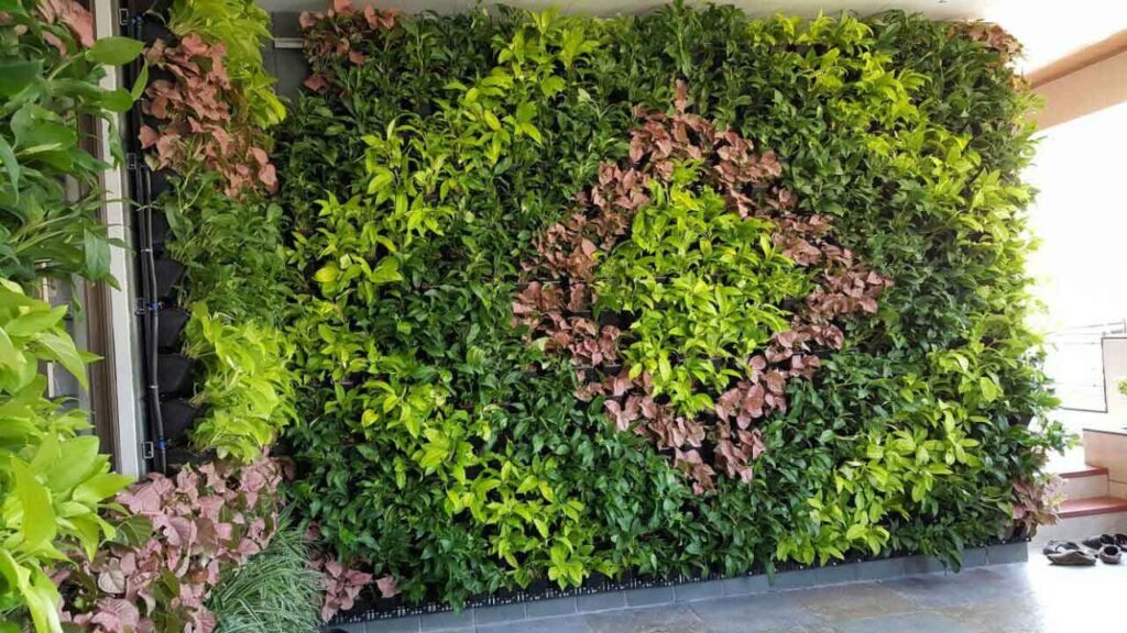 Benefits of a vertical garden