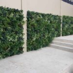 Why Go with Artificial Green Walls?