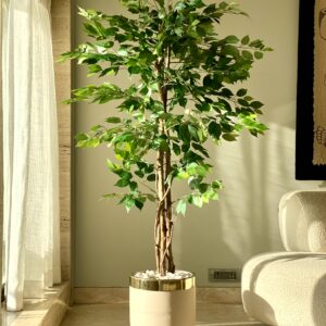 Artificial Ficus Plant