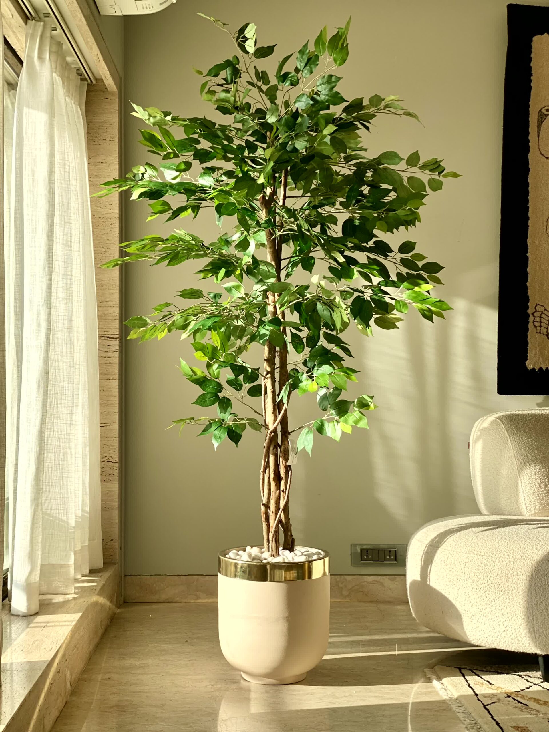 Artificial Ficus Plant